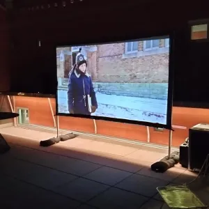 Backyard Movie Screen